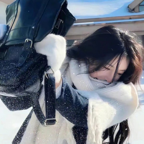 追影行动