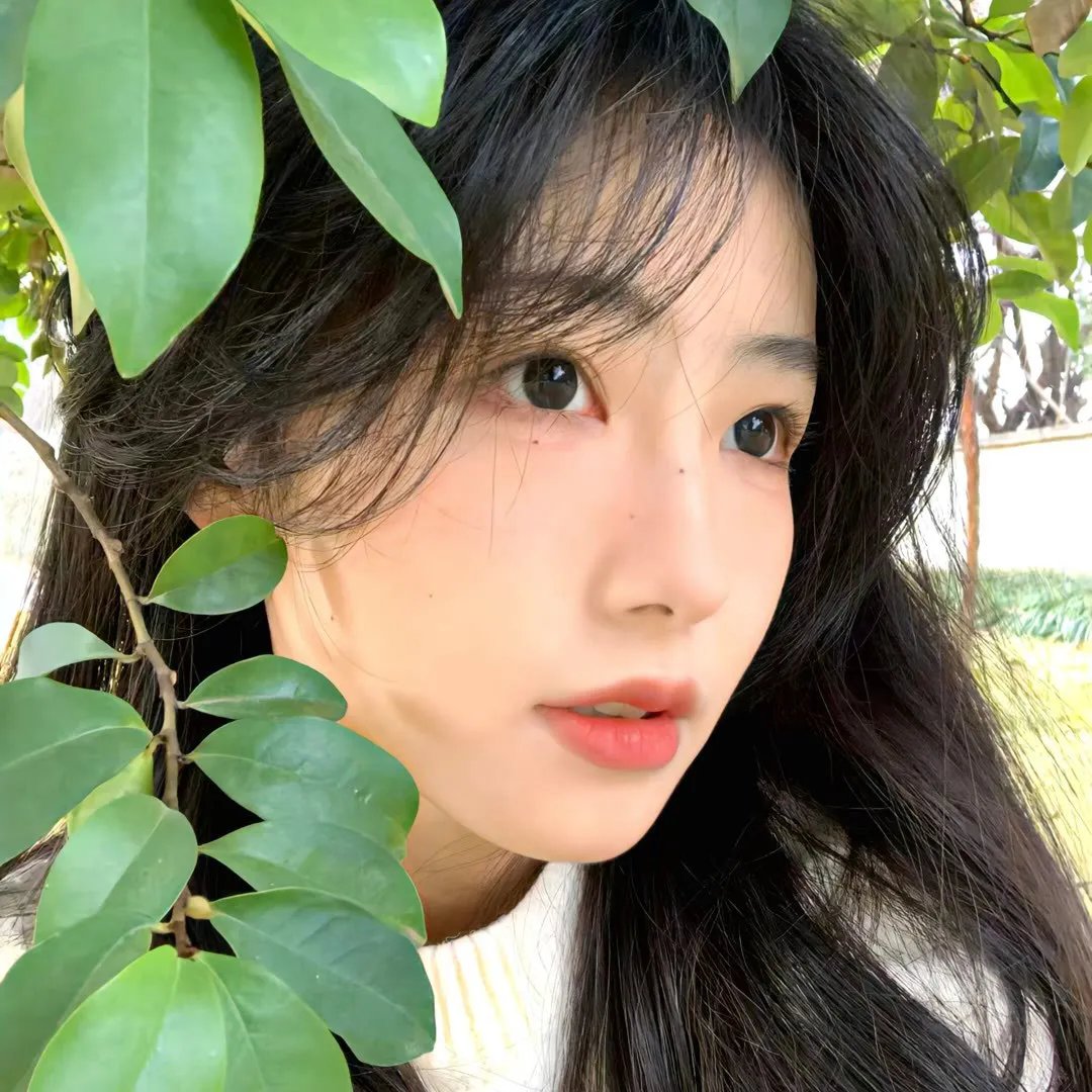 青春之旅第二季
